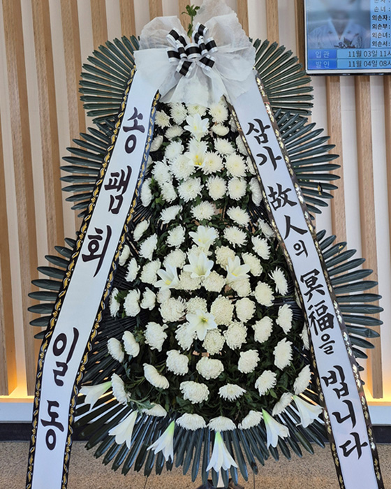 ST-FB233