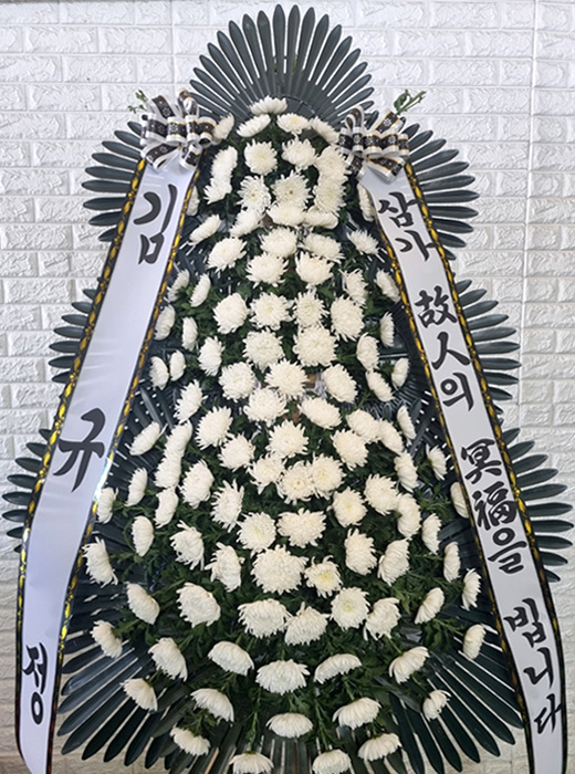 ST-FB233