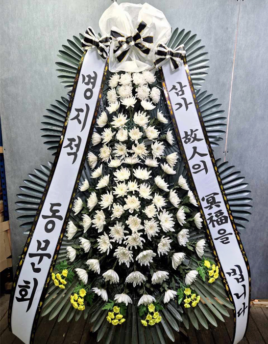 ST-FB233
