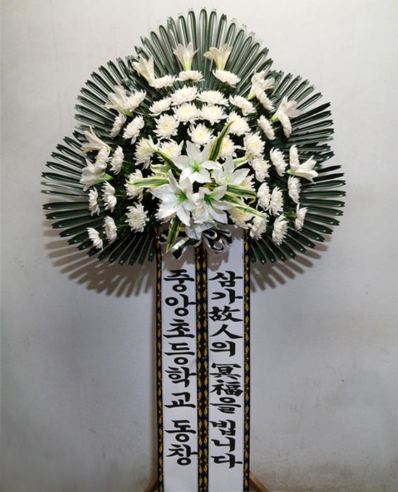 ST-FB154