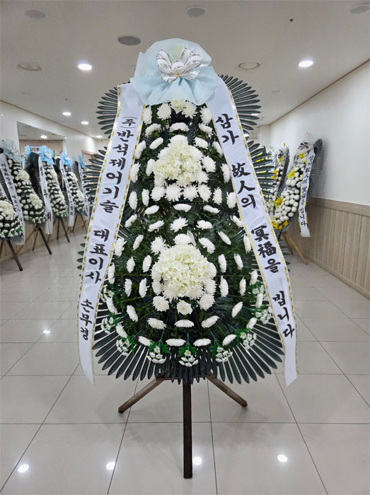 ST-FB226