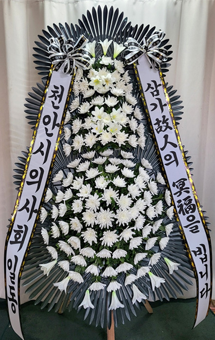 ST-FB233