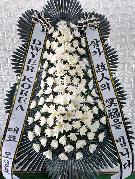 ST-FB226
