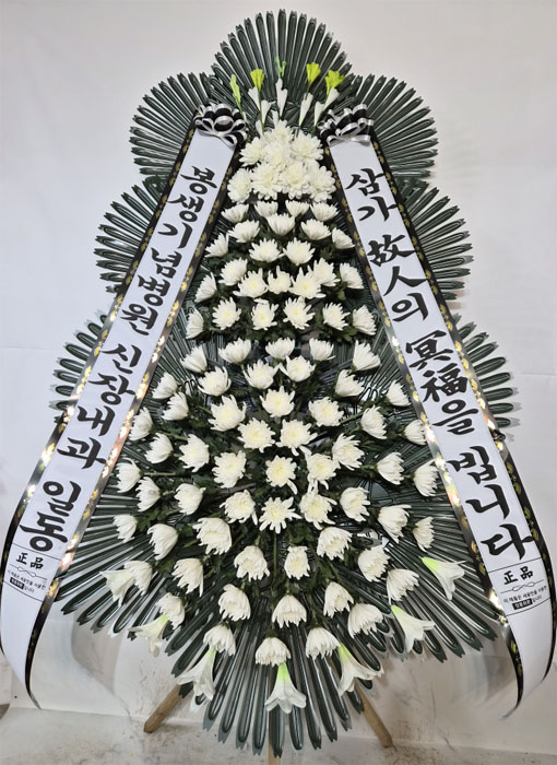 ST-FB233