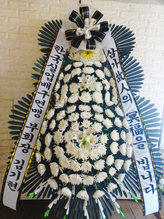 ST-FB226