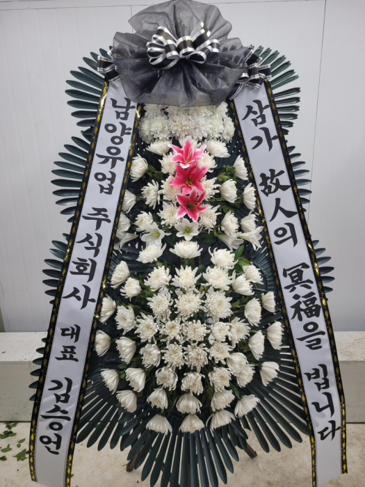 ST-FB232