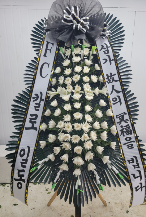 ST-FB233