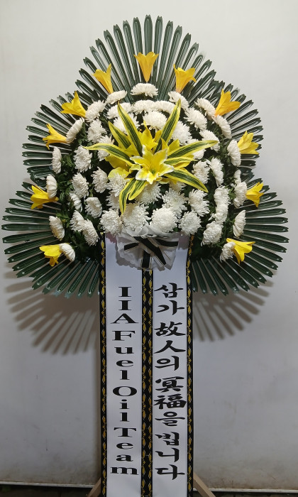 ST-FB262