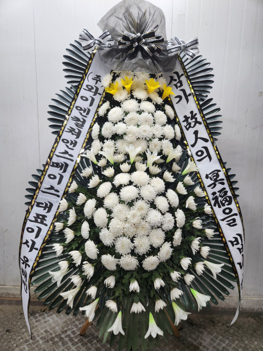 ST-FB226