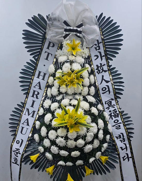 ST-FB226