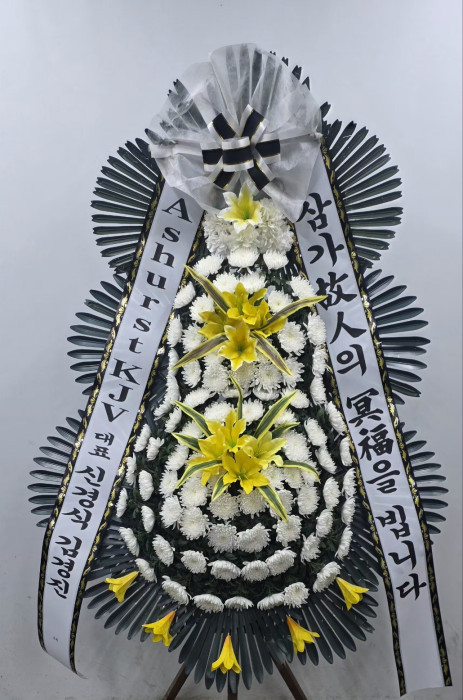 ST-FB226