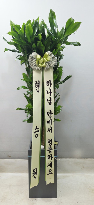 ST-D685