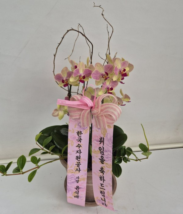 ST-H448