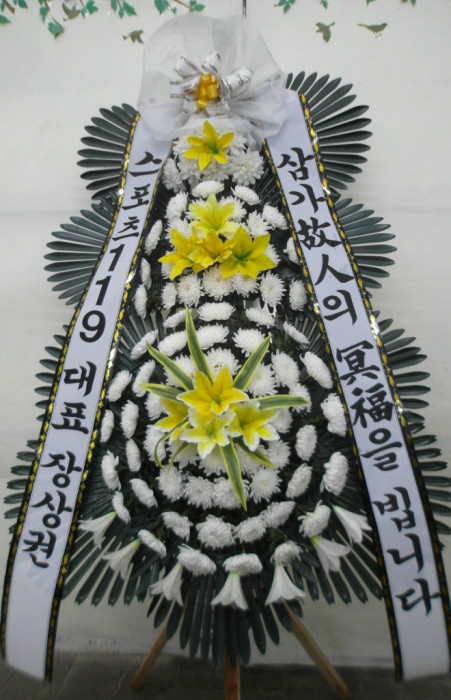 ST-FB141