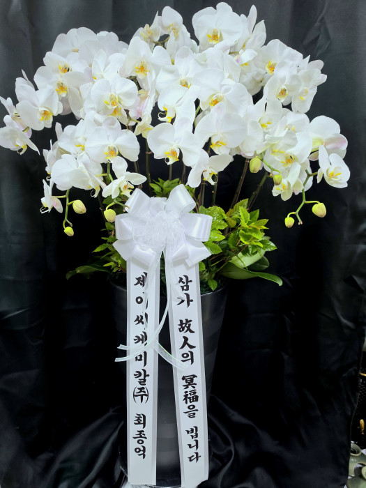 ST-FB188