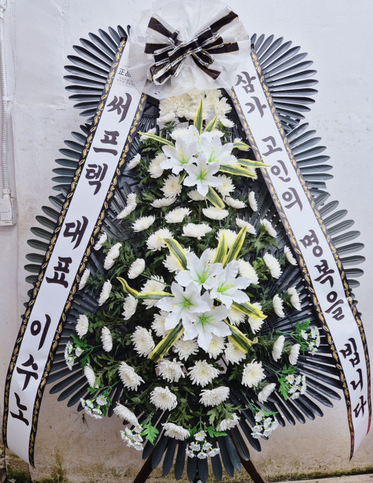 ST-FB226