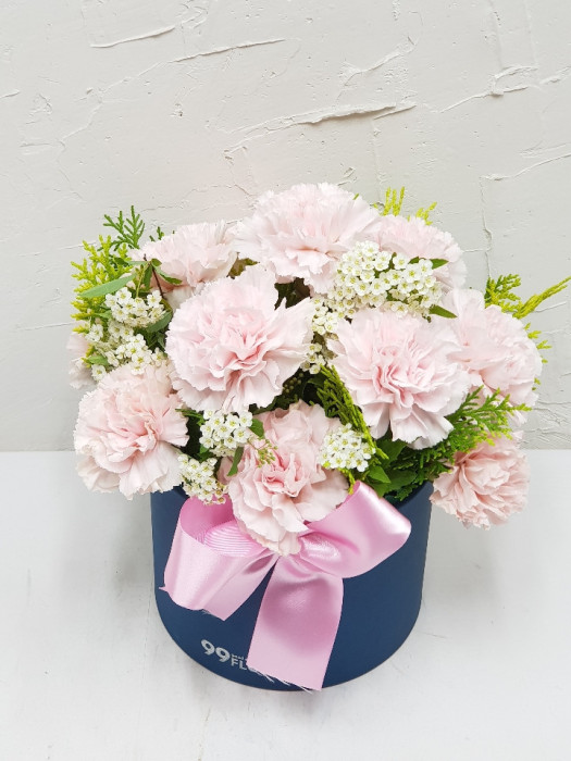 ST-B490