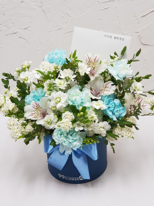 ST-B509