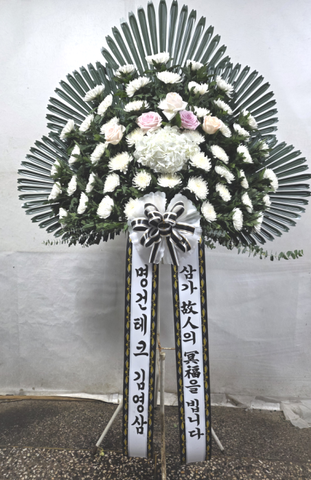 ST-FB262