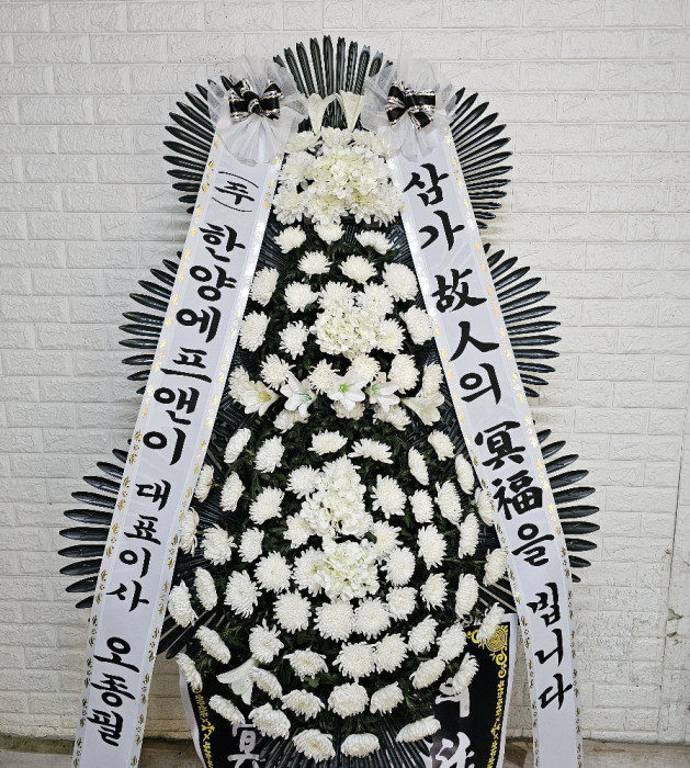 ST-FB251