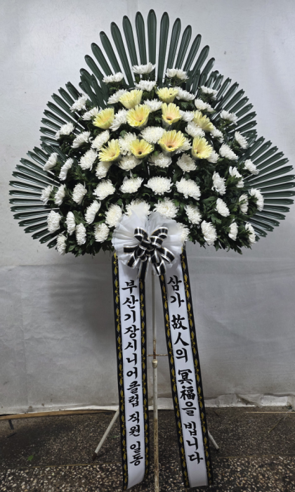 ST-FB268