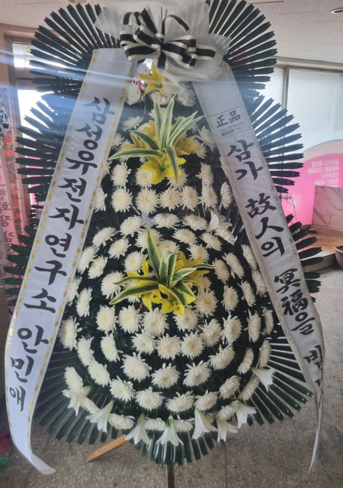 ST-FB162