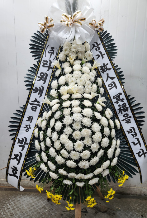 ST-FB226