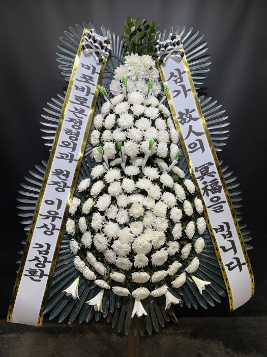 ST-FB226