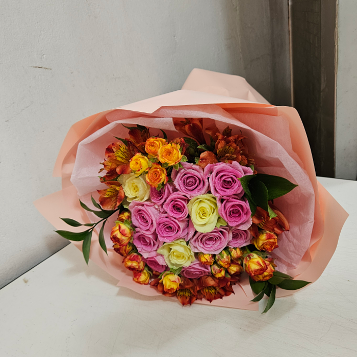 ST-C661
