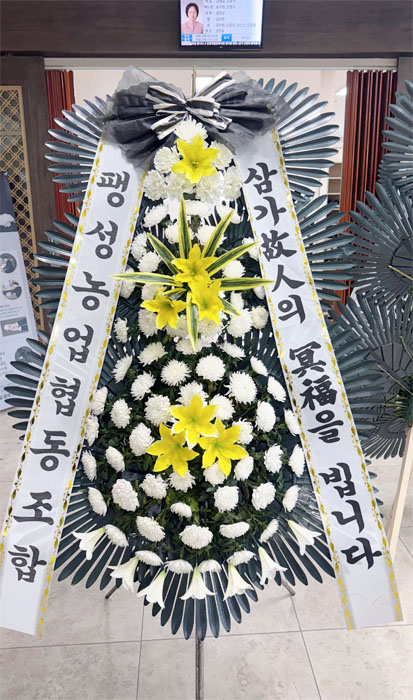 ST-FB226