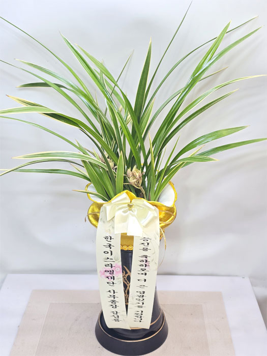 ST-E490
