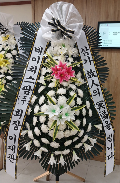 ST-FB141