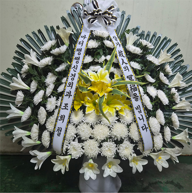 ST-FB255