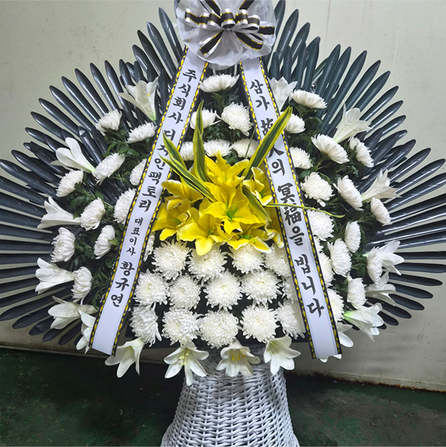 ST-FB255