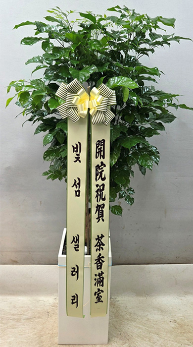ST-D775