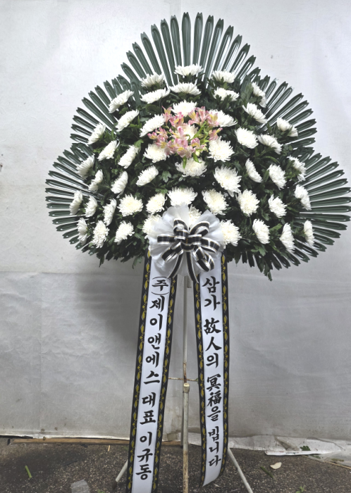 ST-FB262
