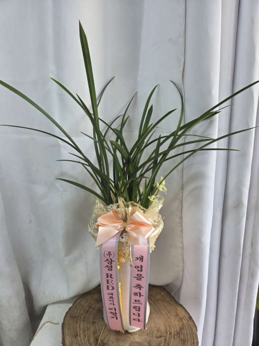 ST-E479