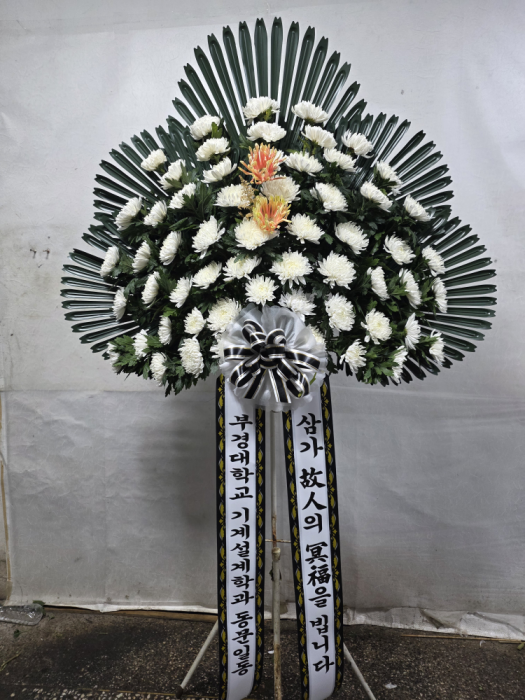 ST-FB262