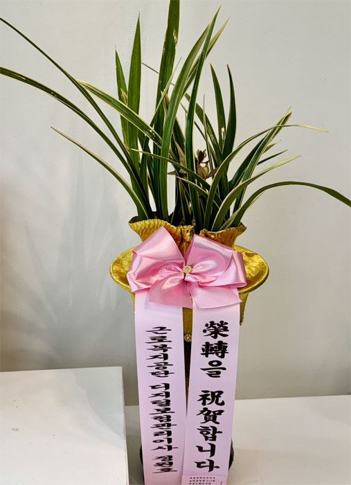 ST-E535