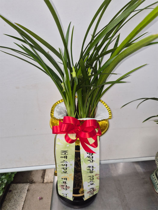 ST-E535