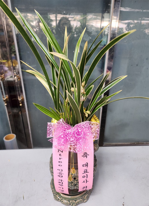 ST-E488