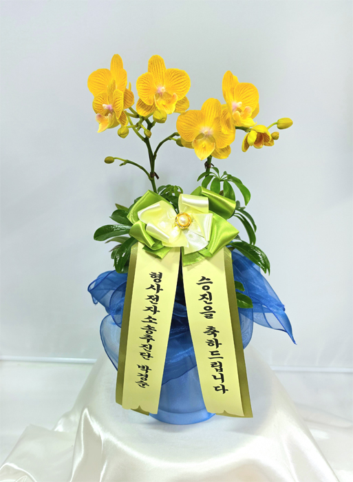 ST-H474