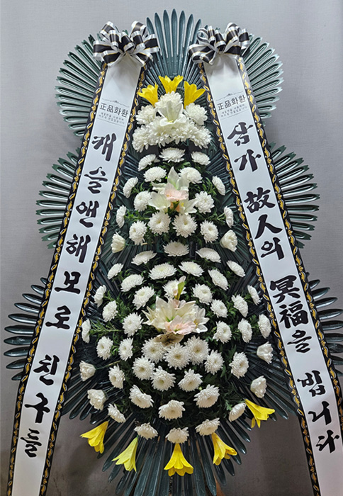 ST-FB233