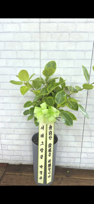 ST-D757