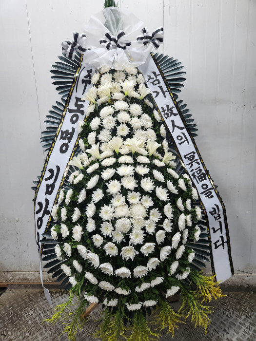 ST-FB226