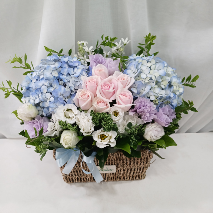 ST-A1661