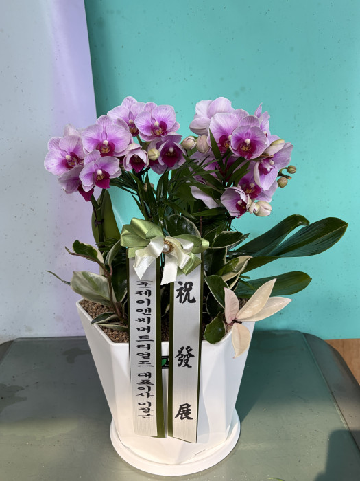 배송사진