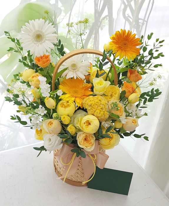 ST-A2033
