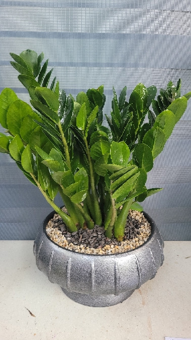 ST-D510