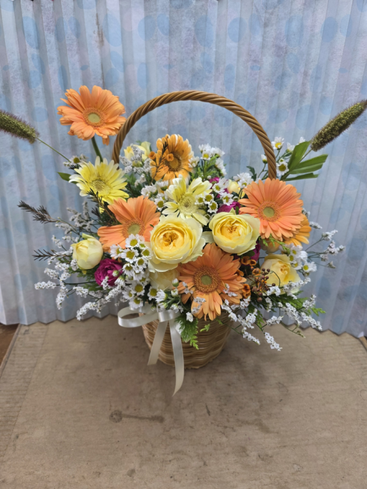 ST-A2001